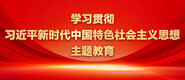 大鸡吧操bb学习贯彻习近平新时代中国特色社会主义思想主题教育_fororder_ad-371X160(2)